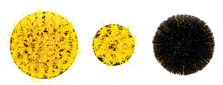 Szczotki czyszczące na wkrętarkę lub wiertarkę zestaw 10 el