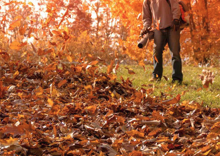 Dmuchawa (odkurzacz) spalinowa do liści DEMON