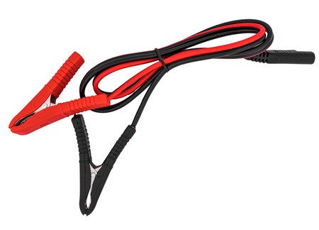 Prostownik ładowarka do ładowania akumulatora litowego LiFePo4 10A 24V VOLT POLSKA