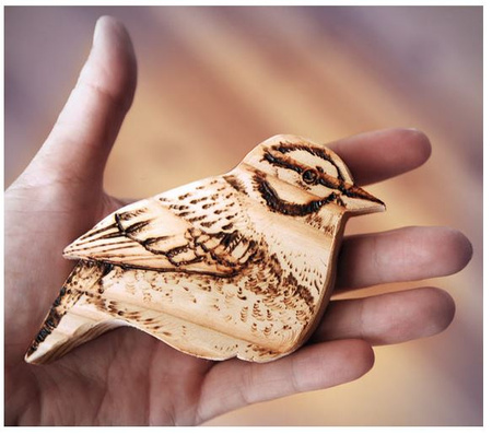 Lutownica wypalarka do drewna skóry z grotami 25 sztuki GEKO