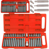 Zestaw bitów bity torx hex spline 40 sztuk pudełko SILVER