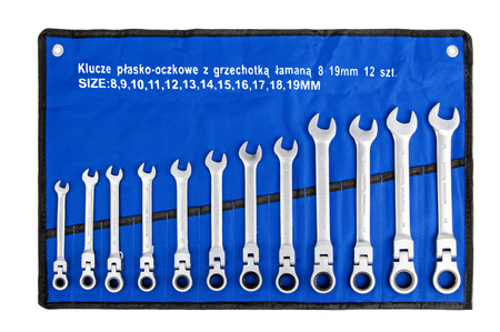 Klucze płasko oczkowe z grzechotką zestaw 8-19mm 12EL Falon-Tech