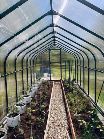 Szklarnia ogrodowa poliwęglan premium plus 250x600 15m2 kolor antracyt PTF