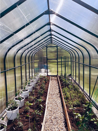 Szklarnia ogrodowa poliwęglan premium plus 250x600 15m2 kolor biały PTF