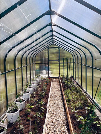 Szklarnia ogrodowa poliwęglan premium plus 250x600 15m2 kolor zielony PTF