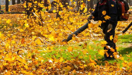 Dmuchawa (odkurzacz) spalinowa do liści DEMON