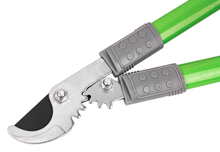 Nożycowy sekator ogrodniczy ogrodowy do drzewa konarów gałęzi nożyce 650mm MASTIFF