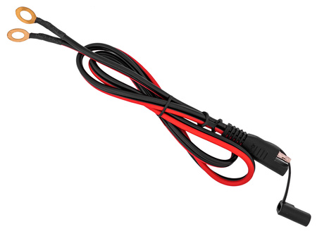 Prostownik ładowarka do ładowania akumulatora litowego LiFePo4 20A 24V VOLT POLSKA