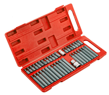 Zestaw bitów bity torx hex spline 40 sztuk pudełko SILVER