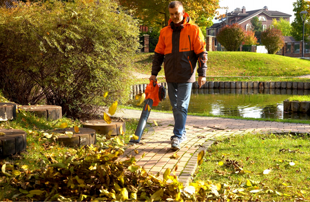 Dmuchawa spalinowa odkurzacz rozdrabniacz do liści śniegu DABL270 DAEWOO