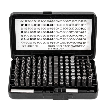 Zestaw bitów torx hex 100 sztuk Hitachi 754000