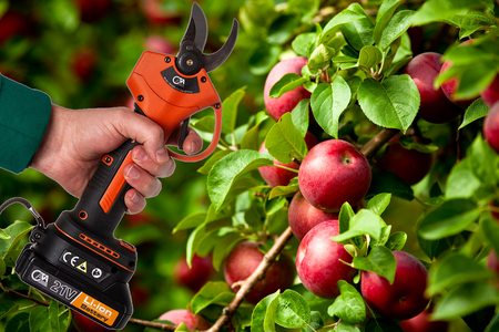 Sekator akumulatorowy kowadełkowy nożyce ogrodowe elektryczne 2 x AKU CATA C83006 MAR-POL